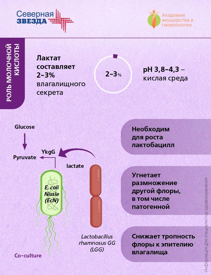 Автобуста минет порно сезіндім